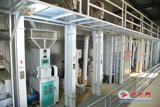 代縣雁門關鄉小雜糧加工廠建成投產